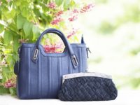 blue handbag wallet clutch