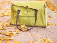 fall handbag